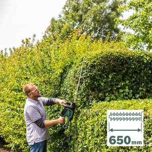 Bosch AdvancedHedgecut 65 Hedge Trimmer in use.