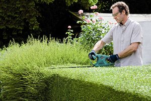 Bosch AHS 60-16 Hedge Trimmer in use.