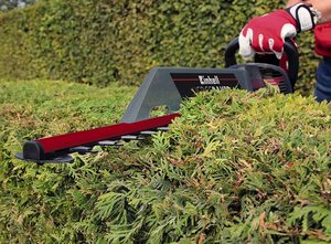 Einhell GC-EH 6055/1 Electric Hedge Trimmer in use.