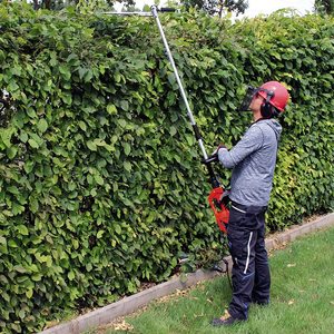 Einhell GC-HH 9048 Electric Pole Hedge Trimmer in use.