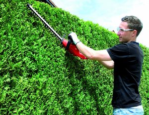 Einhell GH-EH 4245 Corded Hedge Trimmer in use.