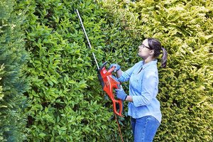 Flymo EasiCut 610XT Hedge Trimmer in use.