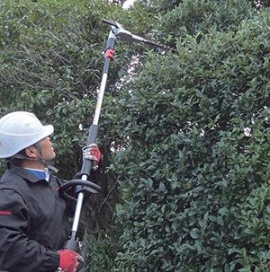 Makita EN4950H Pole Hedge Trimmer in use.
