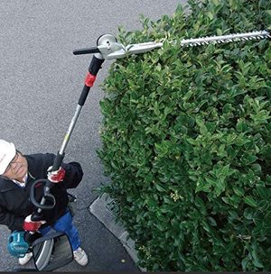 Makita EN4950H Pole Hedge Trimmer in use.