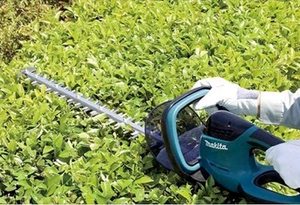 Makita UH6580 Electric Hedge Trimmer in use.