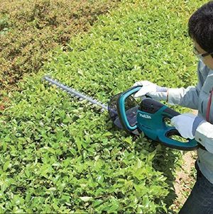 Makita UH7580 Electric Hedge Trimmer in use.