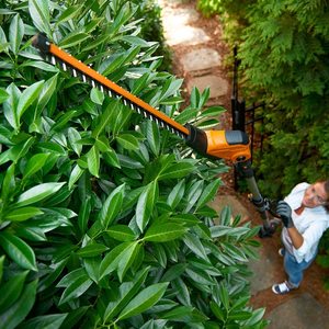 WORX WG252E Hedge Trimmer in use.