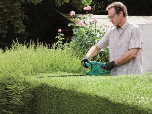 Bosch AHS 45-16 Hedge Trimmer in use.