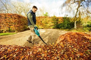 Bosch ALB 18 LI Cordless Leaf Blower in use.