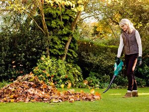 Bosch ALB 18 LI Cordless Leaf Blower in use.