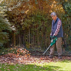 Bosch ALB 36 LI Cordless Leaf Blower in use.