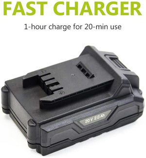 BUZZ Leaf Blower's fast charger.