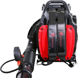 Dealourus 75cc Petrol Leaf Blower has a backpack-style design.