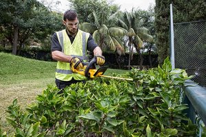 DEWALT DCM563PB-GB 18V XR Hedge Trimmer in use.