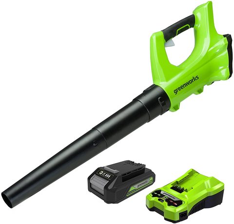 Main view of the Greenworks Cordless Leaf Blower.