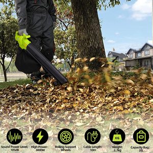 Guryon Leaf Blower, Vacuum & Shredder in use.