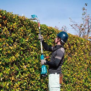 Makita DUN500WZ Pole Hedge Trimmer in use.