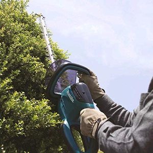 Makita UH6580 Electric Hedge Trimmer in use.