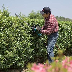 Makita UH7580 Electric Hedge Trimmer in use.