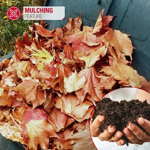 NETTA 3-in-1 Leaf Blower also mulches leaves.