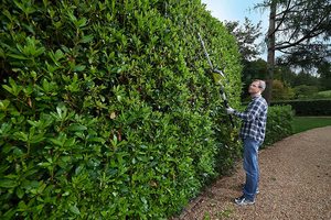 Ryobi OPT1845 18V ONE+ Hedge Trimmer in use.