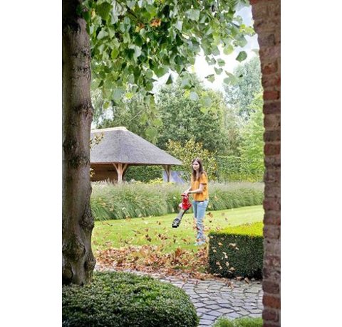 Toro Electric Leaf Blower & Vacuum in use.