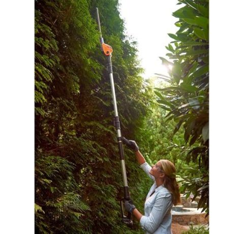 WORX WG252E Hedge Trimmer in use.